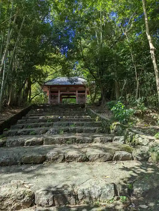 勝持寺(花の寺)(京都府)