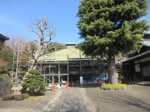 蓮勝寺(神奈川県)