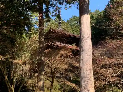 金剛輪寺の周辺