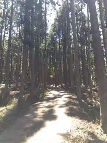 賀茂神社(京都府)