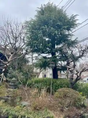 誓閑寺(東京都)