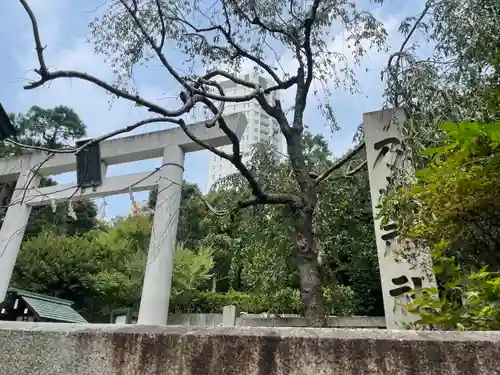 乃木神社の鳥居