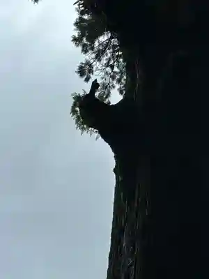 霧島神宮(鹿児島県)