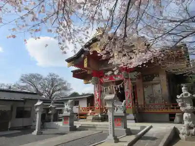 加波山神社真壁拝殿の本殿・本堂