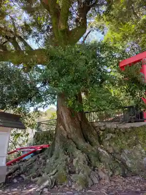 真巌寺(三重県)
