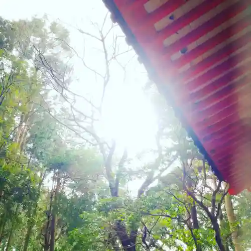 戸隠神社の自然