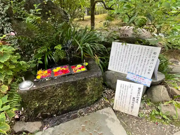 武田神社(山梨県)