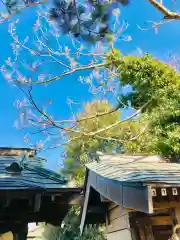 鹿島神社     の建物その他