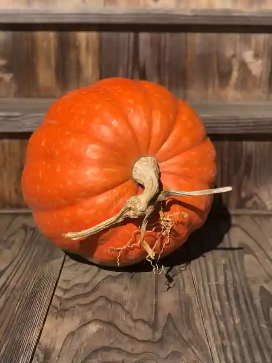 木舟山 順教寺(広島県)