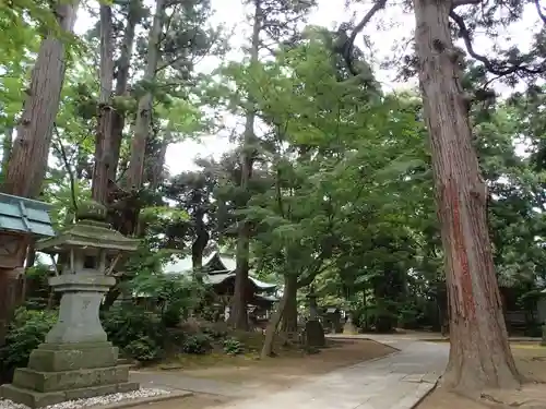 三国神社の自然