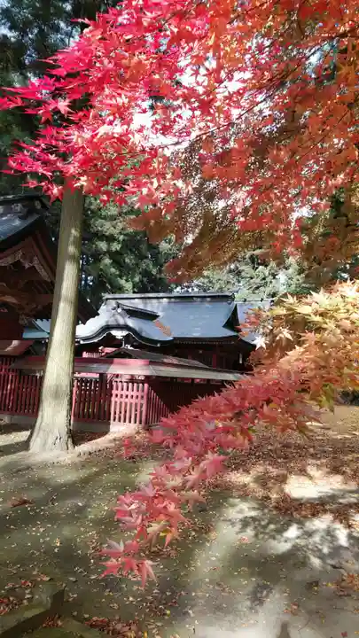 都々古別神社(八槻)の本殿・本堂