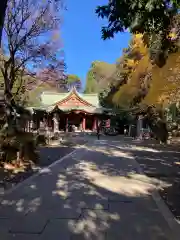 世田谷八幡宮(東京都)