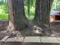 八幡神社(千葉県)