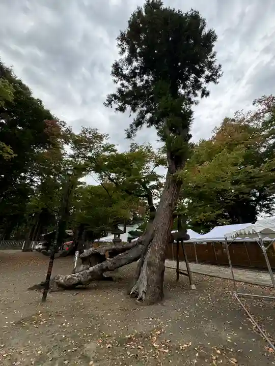 武水別神社(長野県)