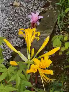 長命寺の庭園(2021年08月28日(土) 04時47分43秒投稿)