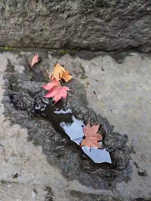 北口本宮冨士浅間神社(山梨県)