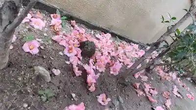 霊源院(京都府)