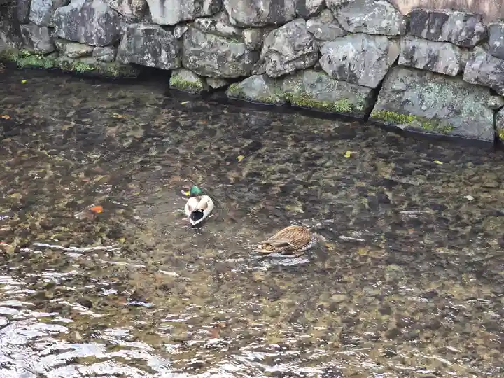 藤木社(賀茂別雷神社末社)(京都府)