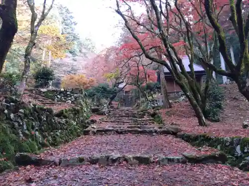 鶏足寺(滋賀県)