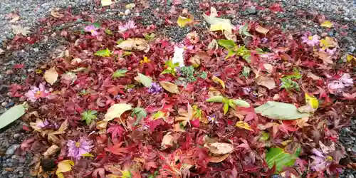 出雲大神宮の景色