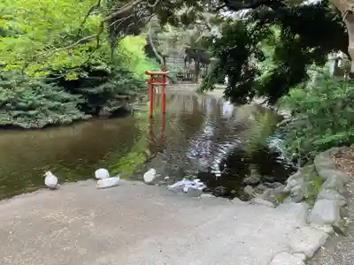 平塚八幡宮(神奈川県)