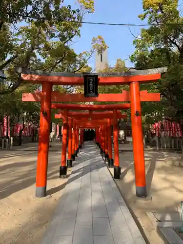 湊川神社の鳥居