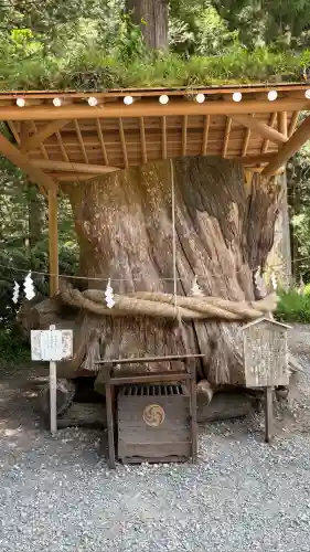 小國神社(静岡県)