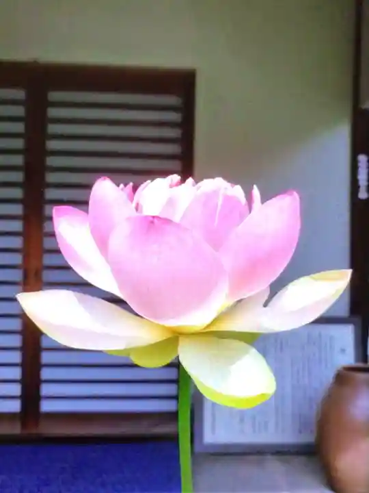 宗延寺(東京都)