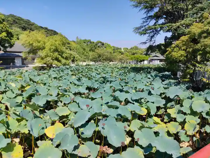 旗上弁財天社の景色