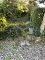 御日塚神社の自然