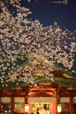 神田神社（神田明神）(東京都)