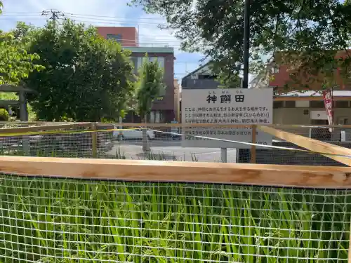 鎮守氷川神社(埼玉県)
