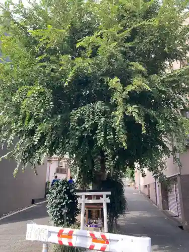 白光大神 (大阪府)