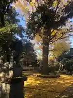 長崎神社(東京都)