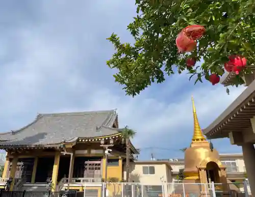 福王山  慈眼寺の自然