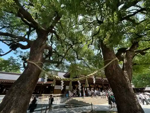 明治神宮(東京都)
