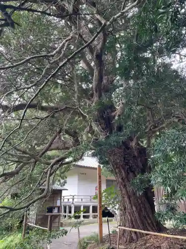 浄光明寺(神奈川県)