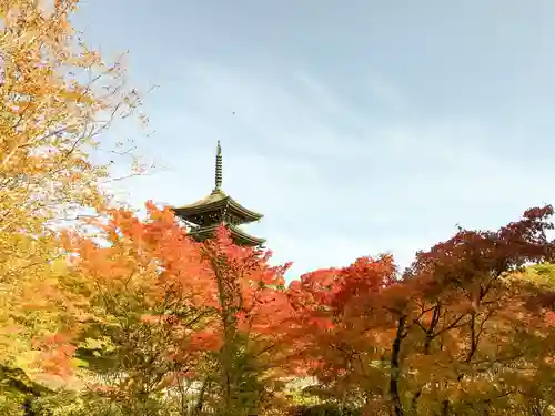 西方寺の景色