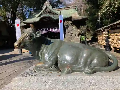 谷保天満宮(東京都)
