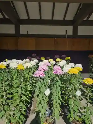 湯島天満宮(東京都)