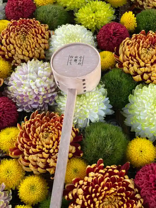 くろ谷 金戒光明寺の手水舎