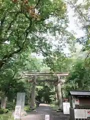 戸隠神社奥社(長野県)