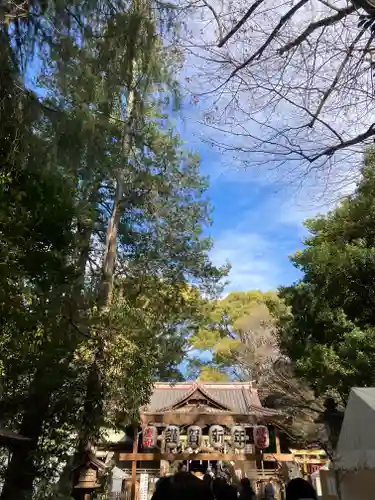 代々木八幡宮(東京都)