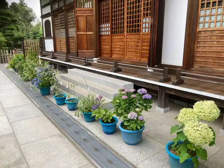 松嶺院(神奈川県)