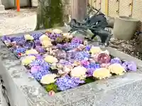 蛇窪神社の手水舎
