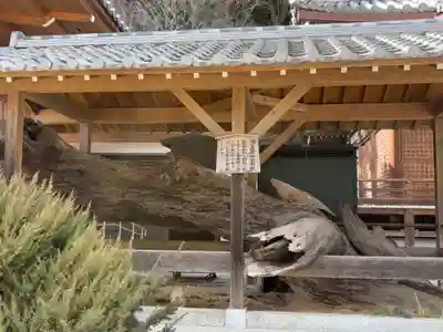 福祥寺（須磨寺）(兵庫県)