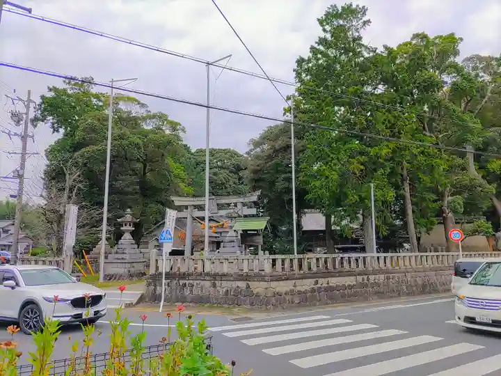 星野神社(平尾町)の自然