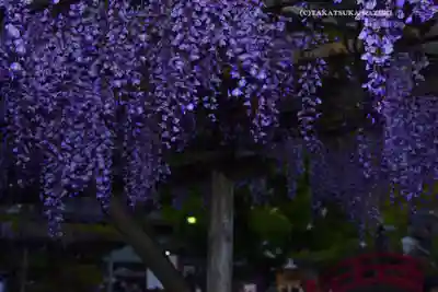 亀戸天神社(東京都)