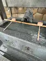 亀山八幡宮(山口県)