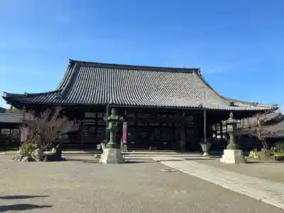 大通寺(長浜御坊)の本殿・本堂